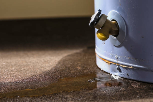 Best Water damage cleanup near me  in Hampton, VA