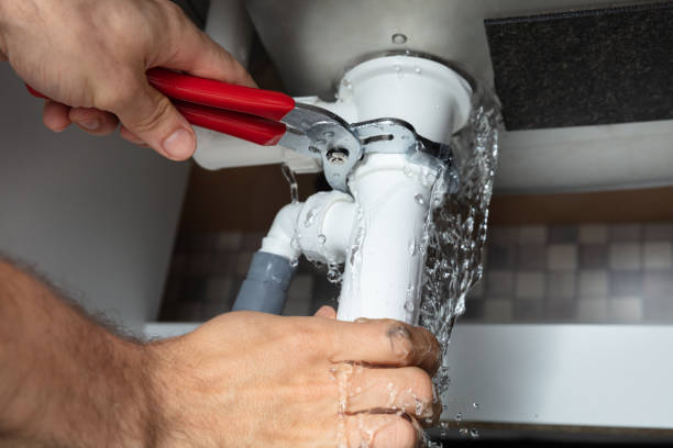 Best Carpet water damage restoration  in Hampton, VA