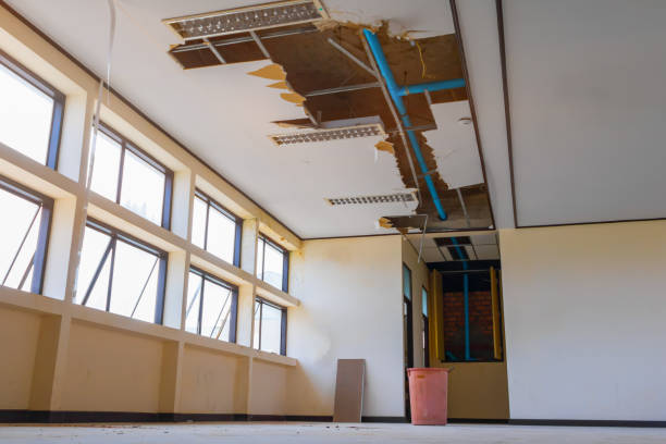 Best Water damage restoration near me  in Hampton, VA