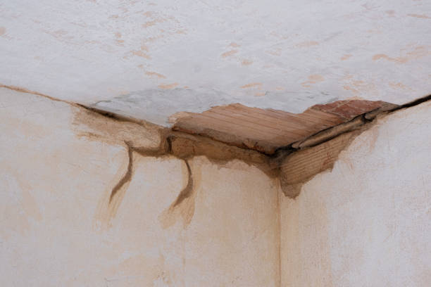 Water damage restoration experts in VA