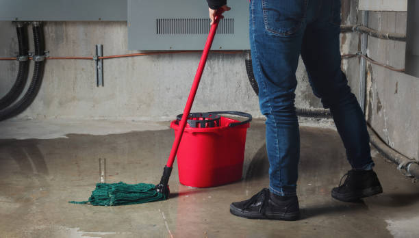 Best 24-hour water damage restoration  in Hampton, VA