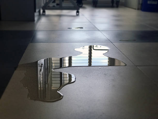 Best Water damage restoration experts  in Hampton, VA