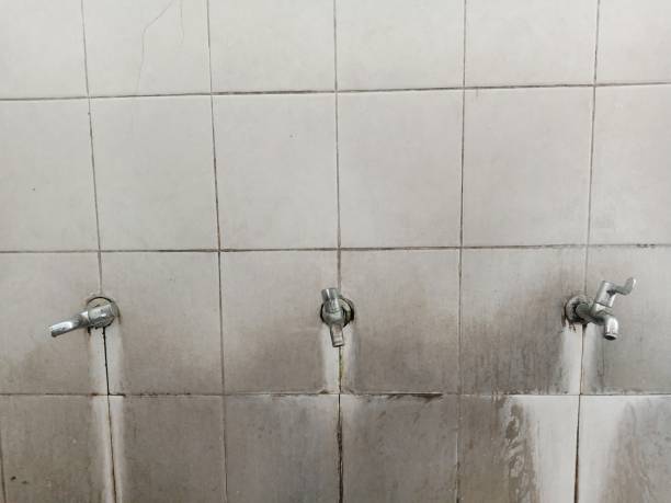 Best Professional water damage repair  in Hampton, VA
